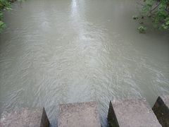 -桤木河湿地公园