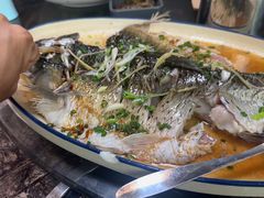 -食德喜·阳山鸡王食研基地