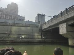 -光明港公园