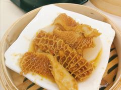 金钱肚-四季大酒楼(白濠店)