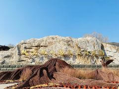 -北京西山国家森林公园