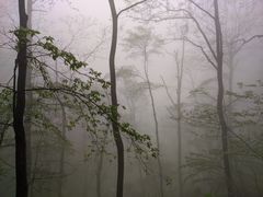 -武当山风景区