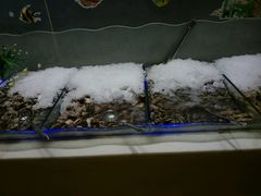 -银鲨海鲜烤肉火锅自助餐厅(五星店)