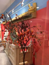 -星豆豆儿童摄影(南郊太白南路店)