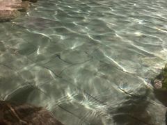 -碧桂园润杨溪谷温泉酒店