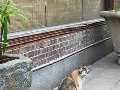 -大门水乡·顺德菜