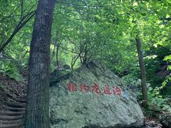-龙道沟景区