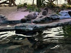 -北海海底世界