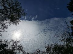 -青岛大珠山景区