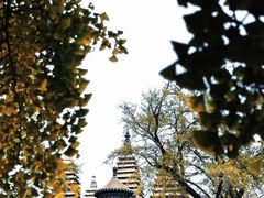 -北京石刻艺术博物馆(五塔寺)