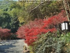-岳麓山风景名胜区
