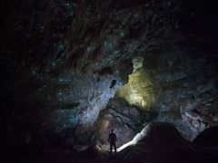 -怀托摩萤火虫洞