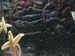 -北戴河圣蓝海洋公园