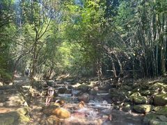 -紫云谷景区
