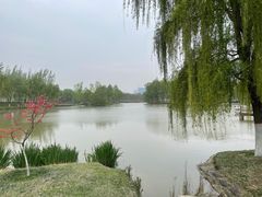 -西安浐灞国家湿地公园