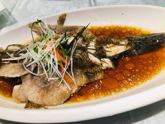-红城阁·上海味道(四平路店)