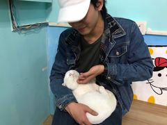 -猫咪博物馆(顶澳仔猫街店)