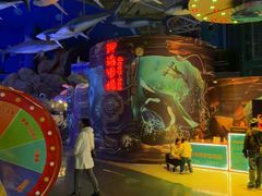 -烟台海昌鲸鲨海洋公园