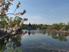 -无锡蠡湖国家湿地公园-蠡园