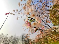 -中共上海市委党校 上海行政学院