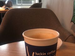 -重庆市江北嘴中央商务区中央公园