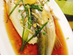 -云河农家乐饭店(福禄缘树山店)