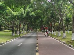 -五缘湾湿地公园