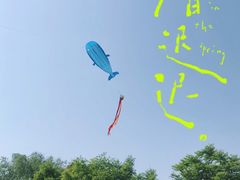 -绍兴镜湖国家城市湿地公园