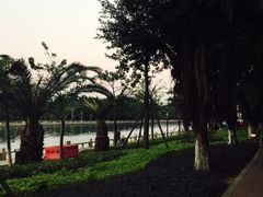 -白鹭洲公园