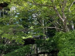 -三千院