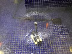 -钓鱼岛洗浴休闲会馆(卫星路店)