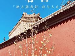 -雍和宫
