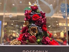 -ROSEONLY诺誓(磐基中心店)