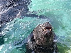 -珠海长隆海洋王国