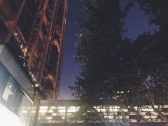 -大茴香越法料理(SOHO复兴店)