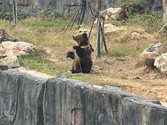 -武汉动物园