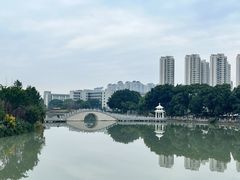 -三垟湿地