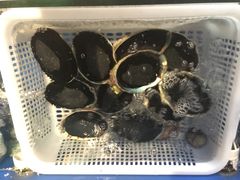 翡翠鲍-海鲨湾海鲜会馆(百家湖1912店)