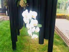 -上海鲜花港
