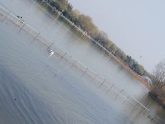 -洛阳市隋唐城遗址植物园