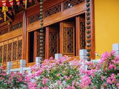 -杭州上天竺法喜讲寺