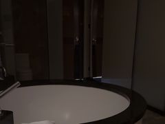 -北京索菲特大酒店