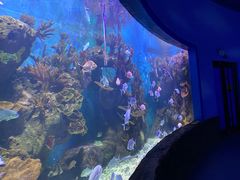 -多彩贵州城极地海洋世界