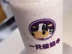 -一只酸奶牛(时代天街A馆店)