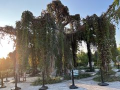 -石家庄市植物园