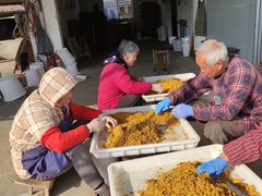 -苏州市吴中区光福窑上花果蜜饯厂