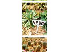 -广东茂名森林公园