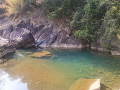 -广州白江湖森林公园