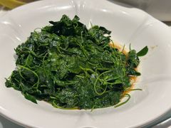 -同济大酒店(绿宝广场店)