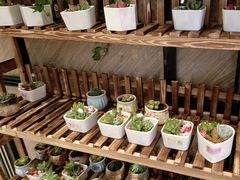 -海底捞火锅(万象城店)